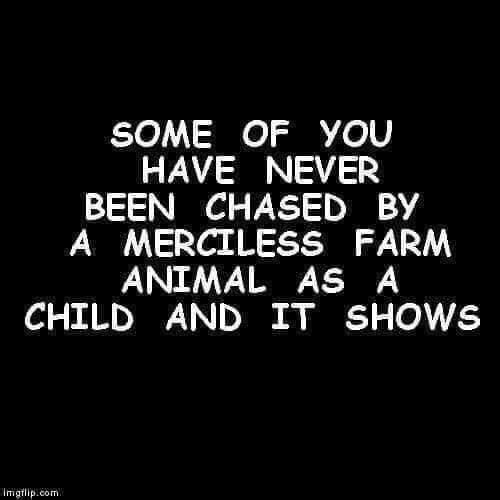 A1EF8C1D-0F3B-4994-8CC3-1EC02DFB8675-9532-000007294ADAA229