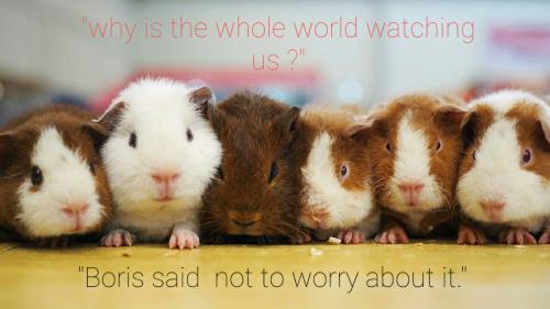 13:57:52 GMT+0000 (GMT)