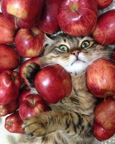 12:48:51 GMT-0500 (EST)