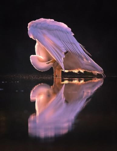 tumblr_47f76af9f7612de90b0578033db90fc1_6206d676_540