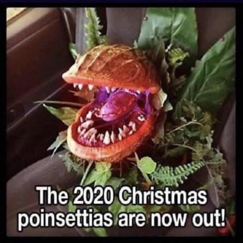 23:16:44 GMT-0800 (PST).image