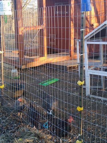 IMG_20201208_162359588