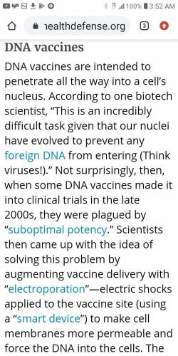 FB_IMG_1607629155466