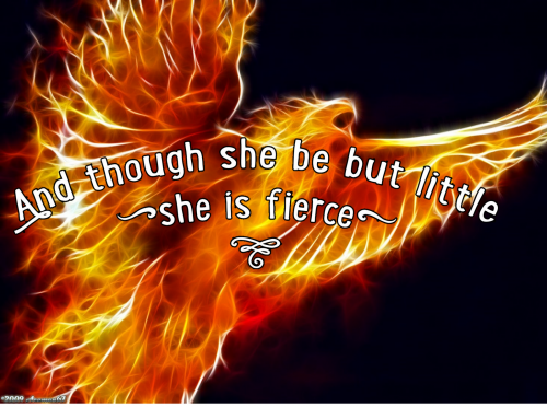 13:15:03 GMT-0500 (EST).png