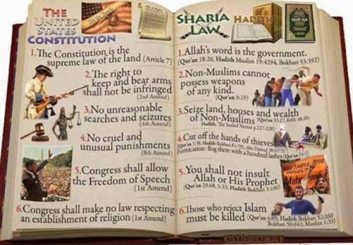 08B54B5E-4110-4E9D-8DD1-7AF005C0A5FD