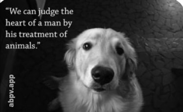 03:08:16 GMT-0600 (CST).image