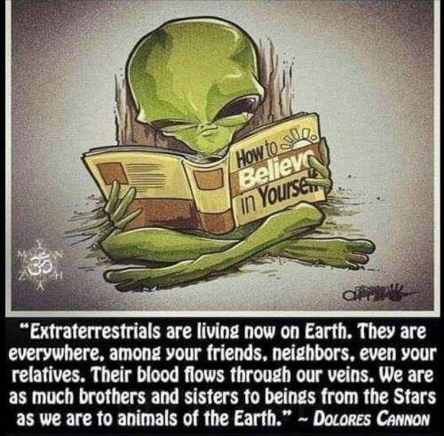 00:12:26 GMT-1000 (HST).image