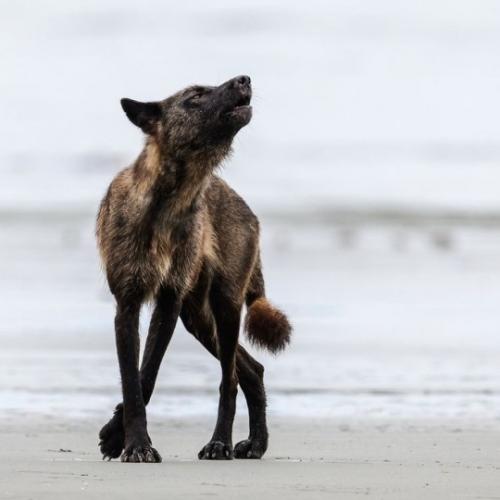 tumblr_b54024217a2cee34ebd208b4e21fd660_34453f8f_540