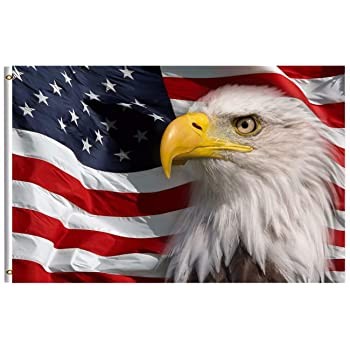 71raQXOaZkL._AC_SS350_