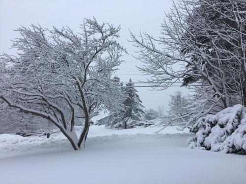 5EA1E79F-E885-4F78-A1B6-04934DA17A80