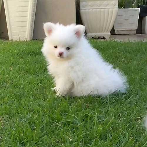 14:53:06 GMT+0000 (GMT)