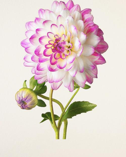 19:11:15 GMT+0100 (WAT).image