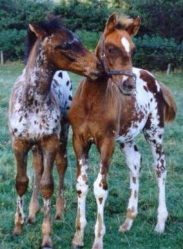 07:48:30 GMT-0600 (CST)