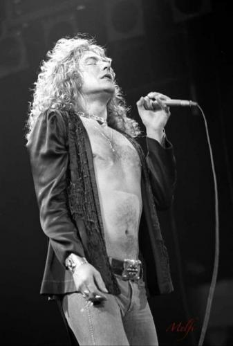 tumblr_6282b900991e4cb9d05be07770019205_542f158c_540