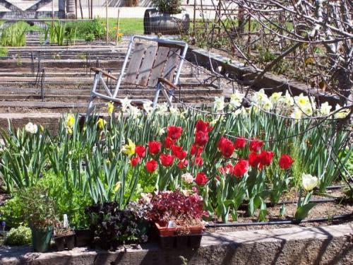 36585219_10156134277729733_5849450590467260416_n