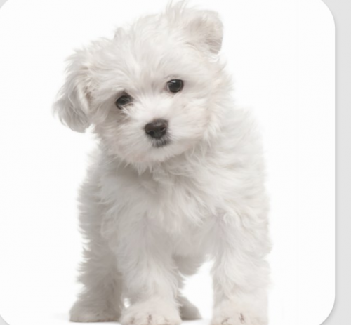 09:12:30 GMT+0100 (WAT).png