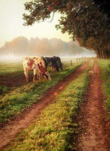 08:17:38 GMT-0600 (CST)