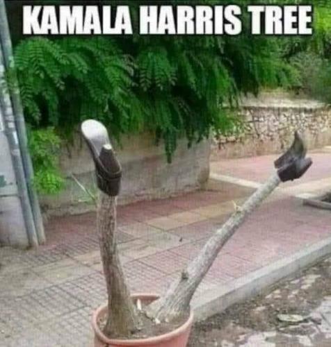 23:14:23 GMT-0800 (PST).image