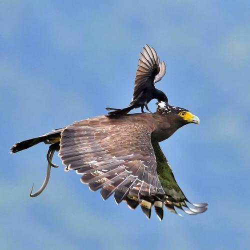 tumblr_c897735cfdfb3614d6d0ad7f7662733a_dc2a433a_1280