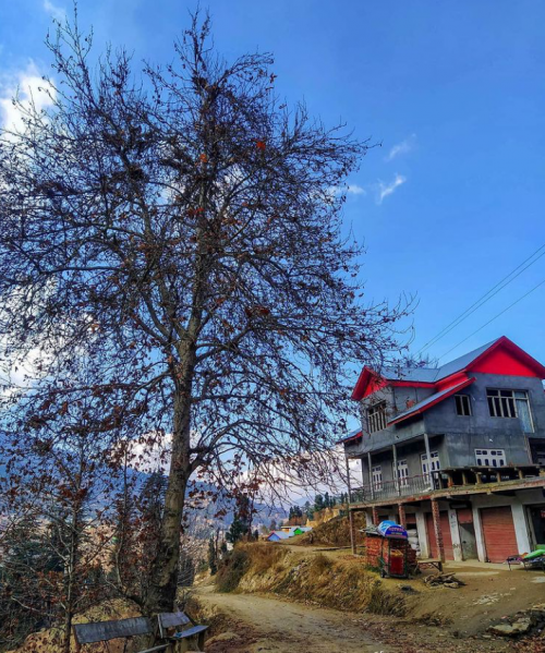 08:29:50 GMT+0100 (WAT).png