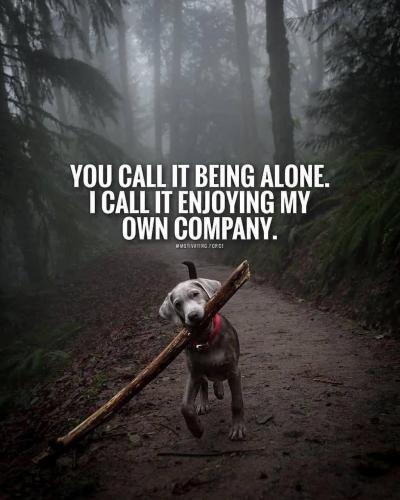 15:31:36 GMT-0600 (CST).image