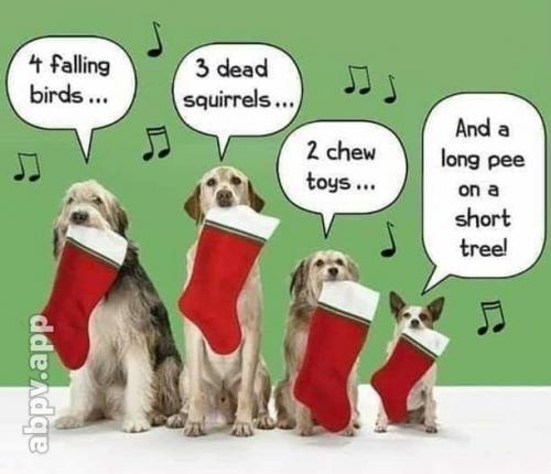 00:28:45 GMT-0600 (CST).image