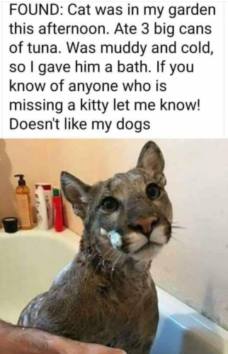 21:48:03 GMT-0700 (MST)