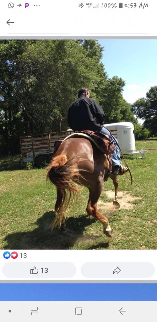 03:37:47 GMT+0100 (WAT)