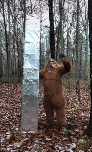 128881480_849268042517075_1861344334055253537_n