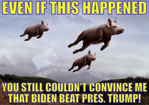 20:28:11 GMT-0800 (PST).image