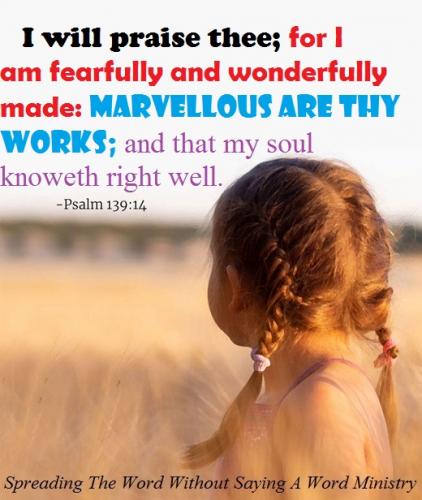 126417000_1303010786714594_5690225843010660294_n