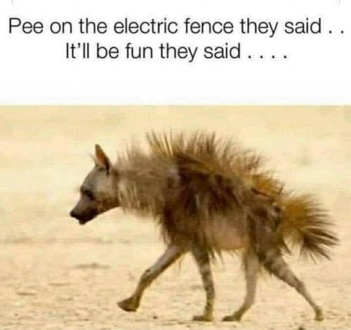 12:56:21 GMT-0500 (EST)