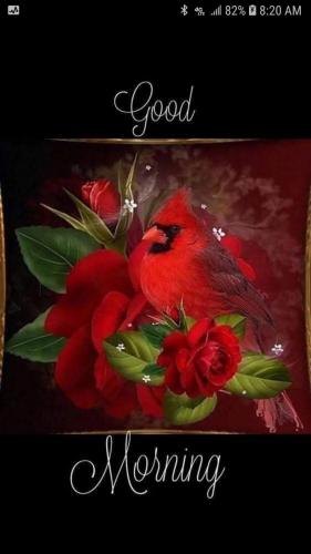 08:39:28 GMT-0600 (CST)