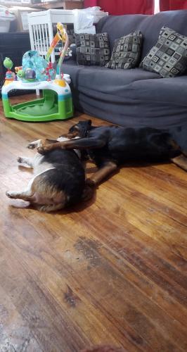 10:37:27 GMT-0800 (PST)