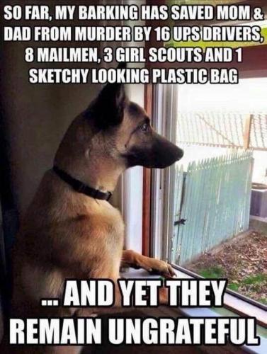 05:59:10 GMT-0700 (MST).image