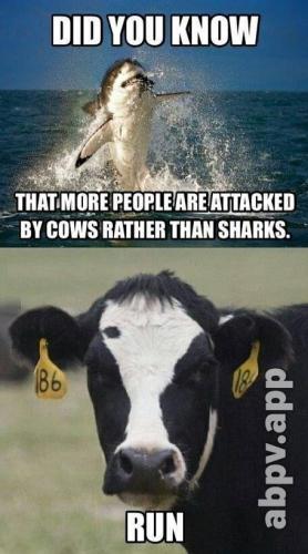 07:43:38 GMT-0600 (CST).image