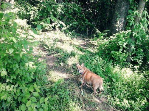 12:32:47 GMT-0600 (CST)