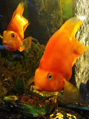 05:28:46 GMT-0600 (CST)