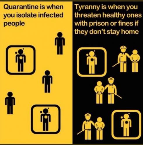 123448084_1840517859440092_5802058550652004897_n