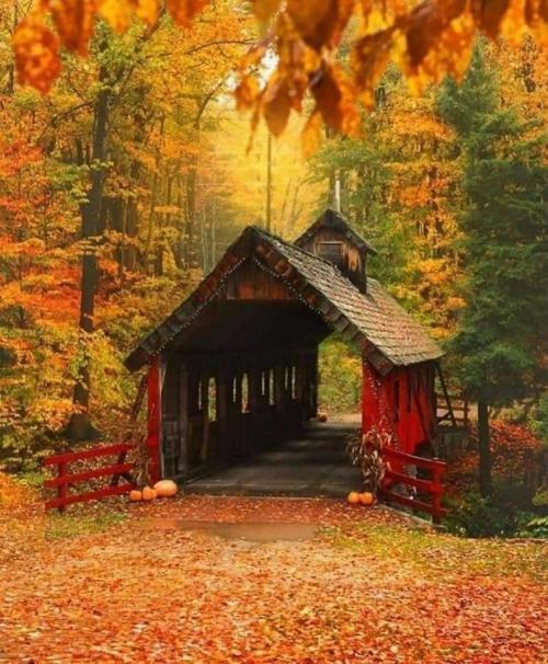 19:01:17 GMT-0500 (EST)