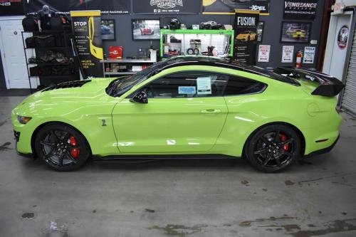 127788557_1445197569024234_2082396536463939094_n