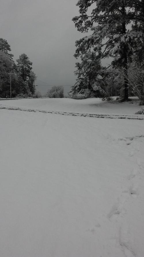 17:44:42 GMT-0600 (CST).image