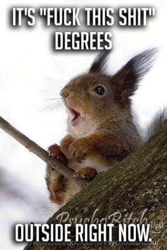 08:29:45 GMT-0500 (EST)