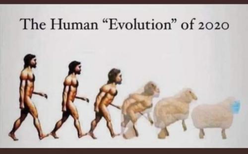 FB_IMG_1607735523044