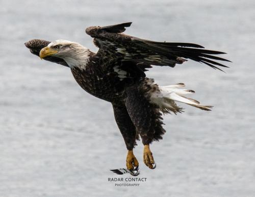 131893687_1301135650242068_2805288696796952762_o