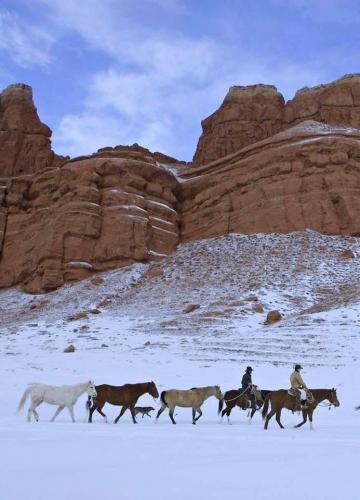 131909385_1235394716846160_3194117464637246497_n