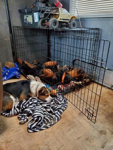 13:49:46 GMT-0800 (PST)