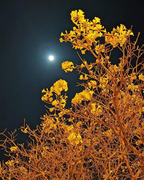 20:10:48 GMT+0100 (WAT)