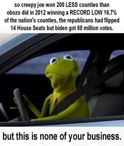 biden239