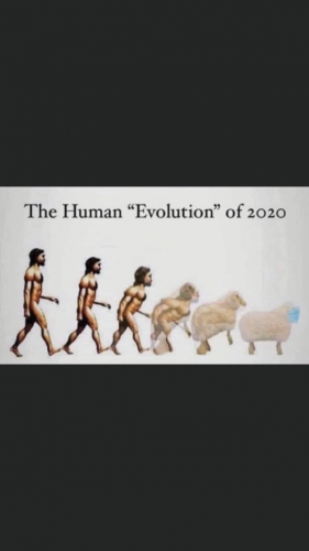 11:39:26 GMT-0500 (EST).image